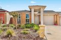 Property photo of 3 Patrick Shaw Street Casey ACT 2913