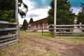 Property photo of 90B Harvest Home Road Wollert VIC 3750