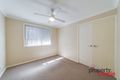 Property photo of 31 Woodroffe Street Minto NSW 2566