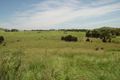 Property photo of 873 Farrells Road Didcot QLD 4621