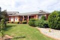 Property photo of 35 The Avenue Thurgoona NSW 2640