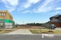Property photo of 29 Rice Flower Road Sunshine North VIC 3020