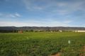 Property photo of 338 Scenic Drive Napperby SA 5540