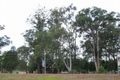 Property photo of 446 Wilberforce Road Wilberforce NSW 2756