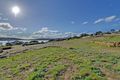 Property photo of 4/5 Casuarina Close Primrose Sands TAS 7173