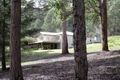 Property photo of 2815 Gordon River Road Tyenna TAS 7140