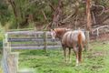 Property photo of 121 Sutherland Road Diamond Creek VIC 3089
