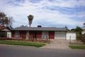 Property photo of 42 Harrison Road Renown Park SA 5008