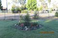 Property photo of 87 Bucknell Street Mungindi NSW 2406