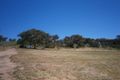 Property photo of 5 Menindee Place Tatton NSW 2650