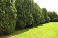 Property photo of 188 Woniora Road South Hurstville NSW 2221