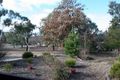 Property photo of 24 Rapanea Street Rivett ACT 2611