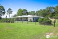 Property photo of 1317 Collombatti Road Collombatti NSW 2440