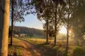 Property photo of 78 Oaklands Lane Lochiel NSW 2549