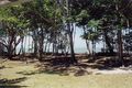 Property photo of 12 Baler Street Port Douglas QLD 4877