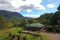 Property photo of 3033 Nerang Murwillumbah Road Natural Bridge QLD 4211