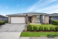 Property photo of 53 Nicholson Parade Spring Farm NSW 2570