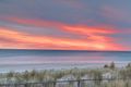 Property photo of 1/13 Williams Grove Bonbeach VIC 3196