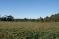 Property photo of 7 Maxwell Street West Ulverstone TAS 7315