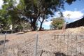 Property photo of 190 Brisbane Street East Tamworth NSW 2340