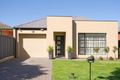 Property photo of 43B Davis Avenue Glynde SA 5070