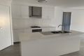 Property photo of 46 Seahaven Circuit Pialba QLD 4655