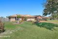 Property photo of 54 Bowerbird Avenue Eli Waters QLD 4655