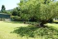 Property photo of 54 Eastwood Street Babinda QLD 4861