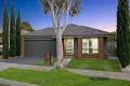 Property photo of 11 Riley Terrace Tarneit VIC 3029