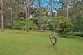 Property photo of 54-56 Campbell Road Sheldon QLD 4157