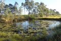 Property photo of 203 Conlons Road Horton QLD 4660
