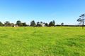 Property photo of 120 Hanigans Lane Bolong NSW 2540