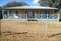 Property photo of 16 Park Street Binnaway NSW 2395