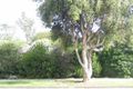 Property photo of 150 Morack Road Vermont South VIC 3133