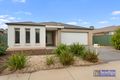 Property photo of 8 Caulfield Drive Ascot VIC 3551