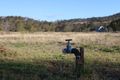 Property photo of 66 Euston Road Glenvale QLD 4350