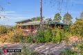 Property photo of 59 Avernus Street Cobargo NSW 2550