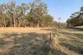Property photo of 236 Timor Road Coonabarabran NSW 2357