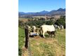 Property photo of 58 Behrendorff Road Bunjurgen QLD 4310