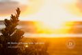 Property photo of 9 Malibu Way Mount Martha VIC 3934