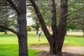 Property photo of 23/44 Jerrabomberra Avenue Narrabundah ACT 2604