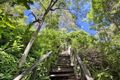 Property photo of 13 Natasha Avenue Noosa Heads QLD 4567