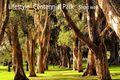 Property photo of 12A/1-5 Cook Road Centennial Park NSW 2021