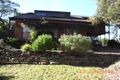 Property photo of 25 Carlton Street Willow Vale NSW 2575