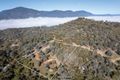Property photo of 138 Ti Tree Drive Eildon VIC 3713