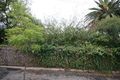 Property photo of 3 George Street Unley Park SA 5061