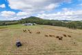 Property photo of 250 Kavanaghs Road Buaraba QLD 4311