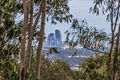 Property photo of 50 Wallaby Drive Mudgeeraba QLD 4213