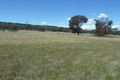 Property photo of 1382 Lachlan Valley Way Boorowa NSW 2586