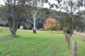 Property photo of 192 Webbs Creek Road Webbs Creek NSW 2775